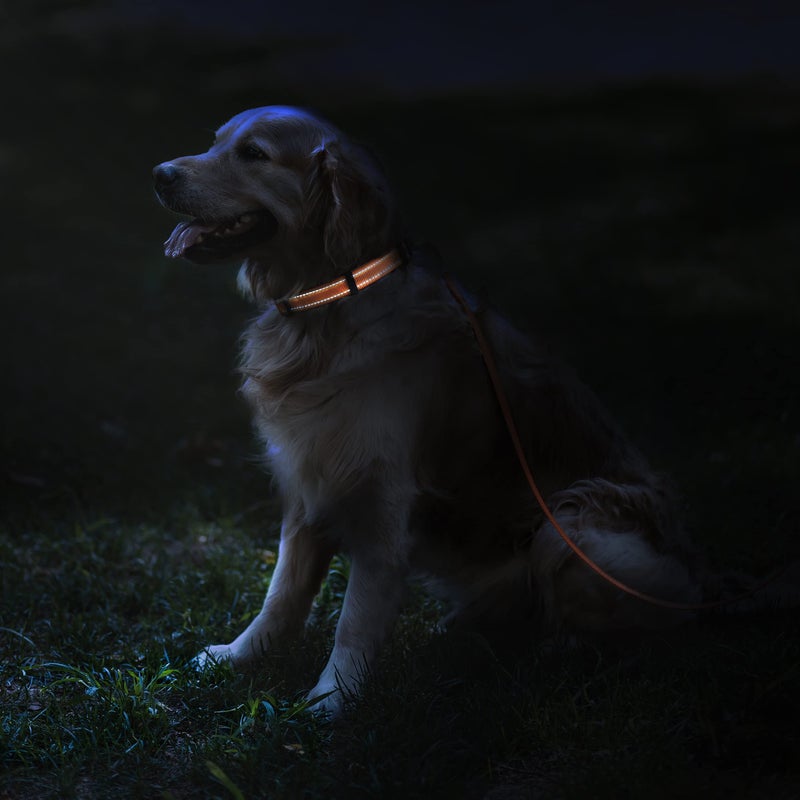 CollarDirect Reflective Dog Collar for a Small, Medium, Large Dog or Puppy with a Quick Release Buckle - Boy and Girl - Nylon Suitable for Swimming (12-16 Inch, Lime Green) - Image 3